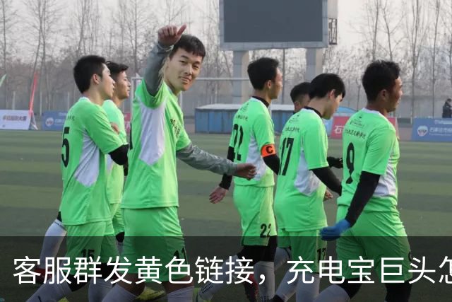 客服群发黄色链接，充电宝巨头怎么了？