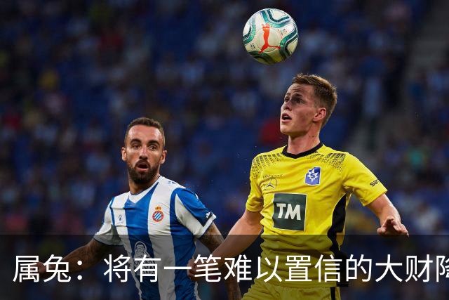 属兔：将有一笔难以置信的大财降临，2027年，你要乐开花