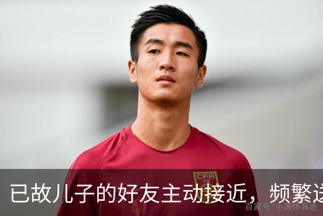 已故儿子的好友主动接近，频繁送上小恩小惠，赢得了女子信任，有一天家人发现其微信和支付宝资金有异常……儿子好友被判刑