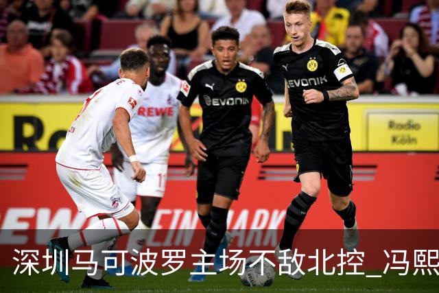 深圳马可波罗主场不敌北控 冯熙瑞逆境打出亮眼表现