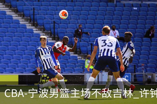 CBA-宁波男篮主场不敌吉林 许钟豪场边指挥